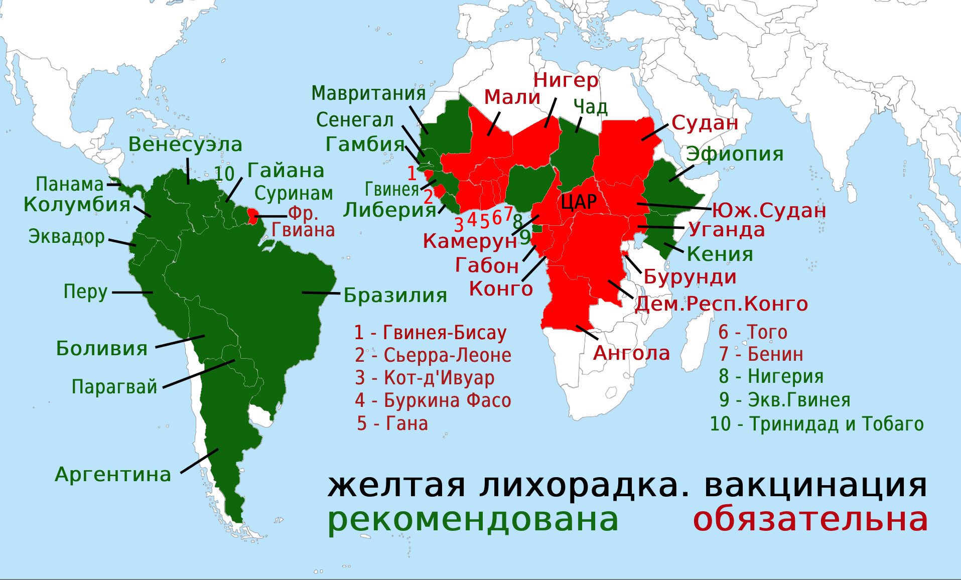 Желтая лихорадка клиническая картина